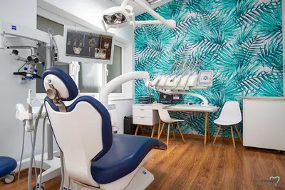 Dental Concept Perkowscy - Stomatologia i Implanty